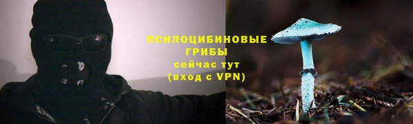 мескалин Богородск