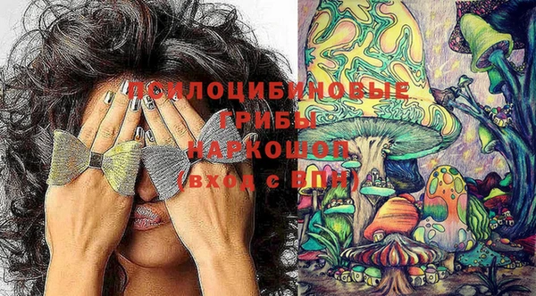 соль курить ск Богородицк