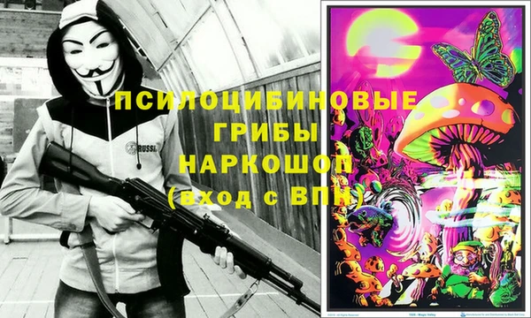 соль курить ск Богородицк